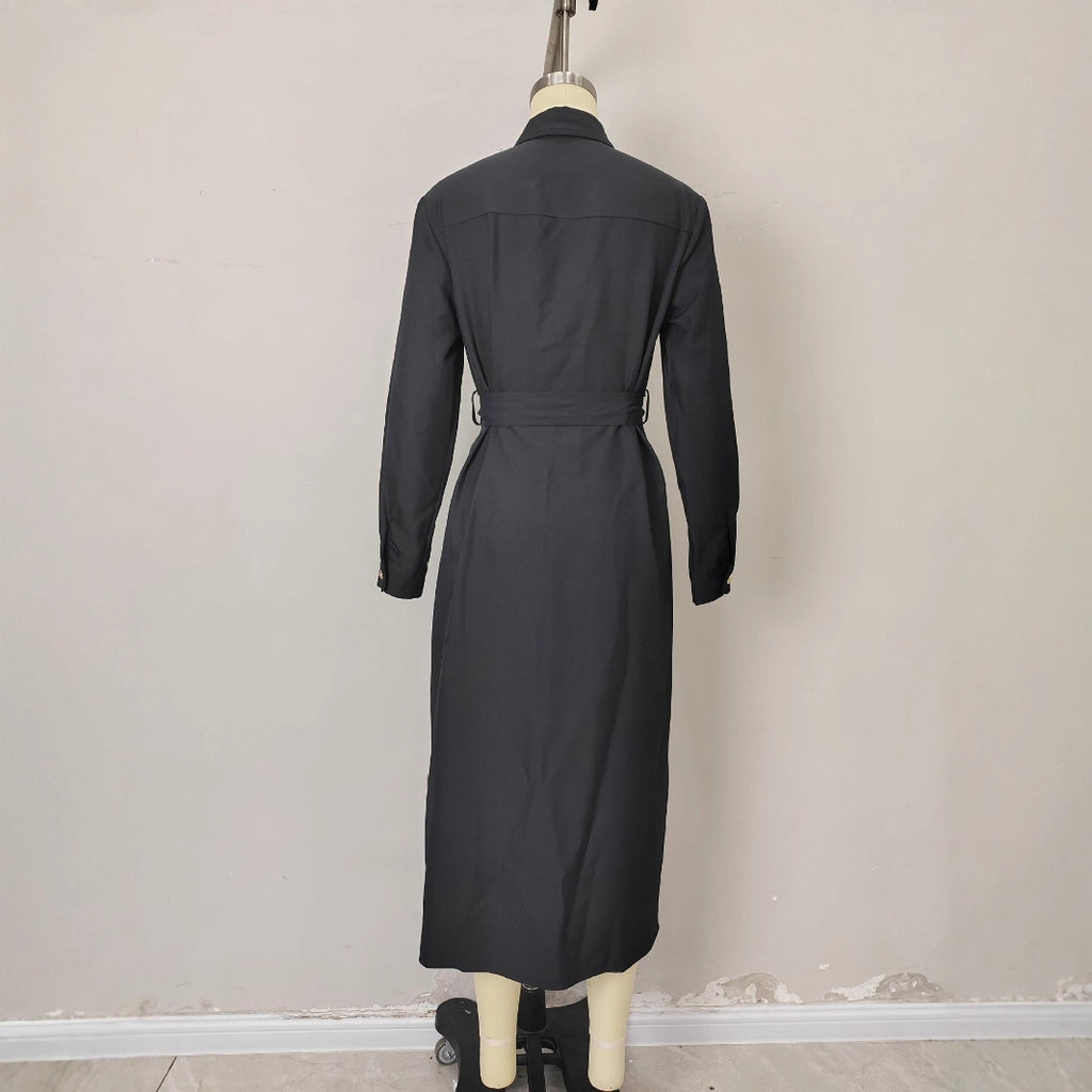 Single row metal button shirt style dress